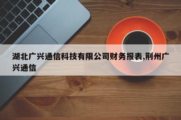 湖北广兴通信科技有限公司财务报表,荆州广兴通信